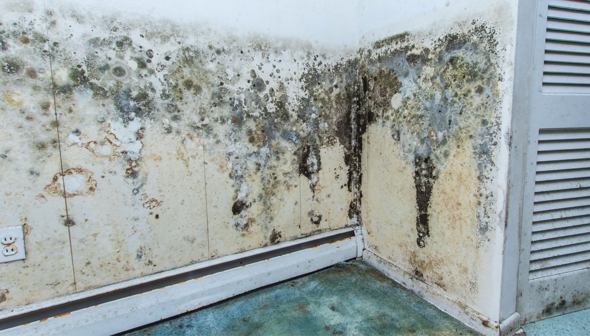 Professional mold removal, odor control, and water damage restoration service in Dayton, Ohio.