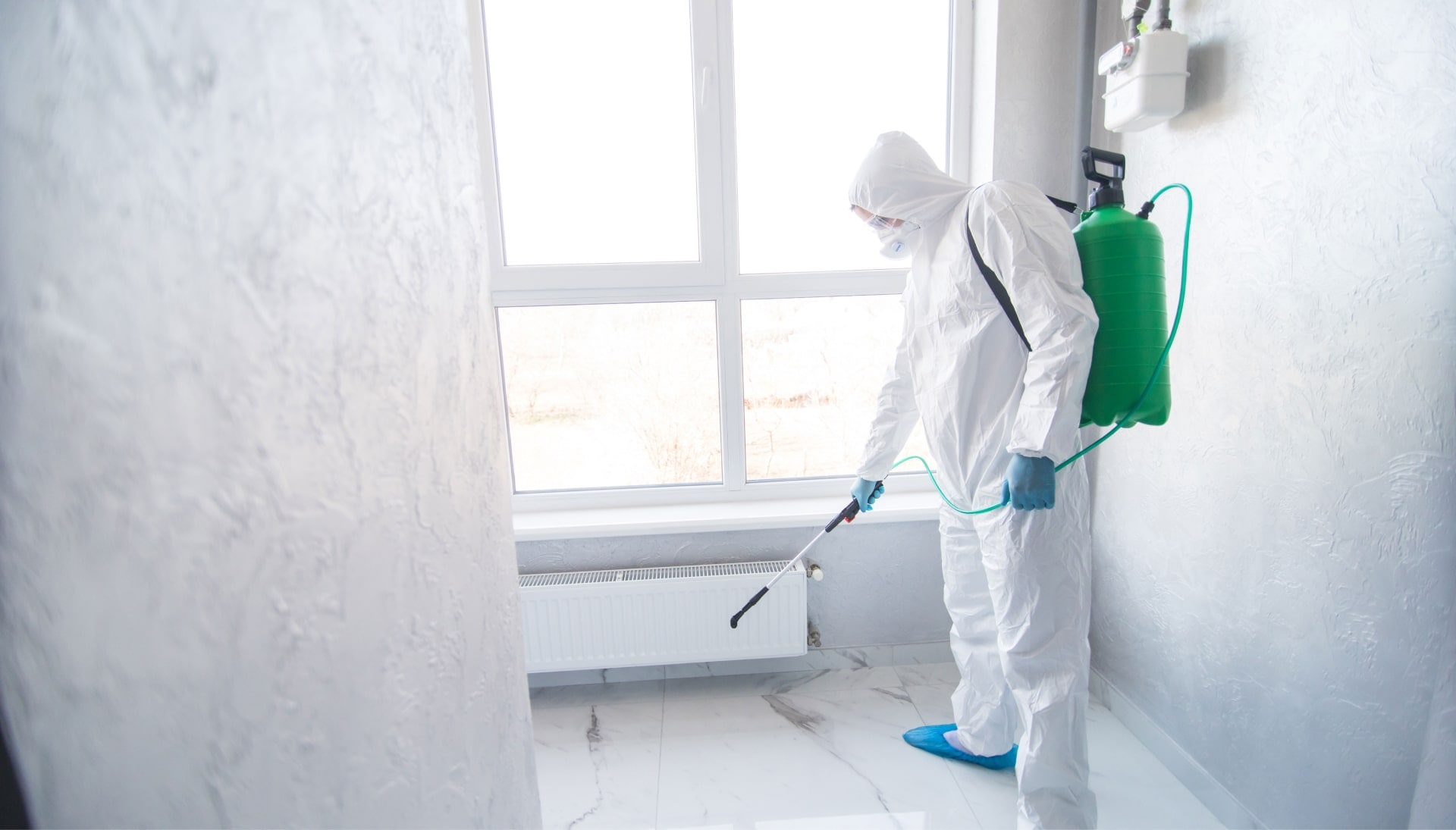 We provide the highest-quality mold inspection, testing, and removal services in the Dayton, Ohio area.